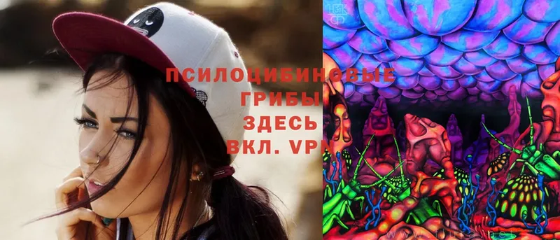 это Telegram  Балтийск  Псилоцибиновые грибы MAGIC MUSHROOMS  omg сайт 